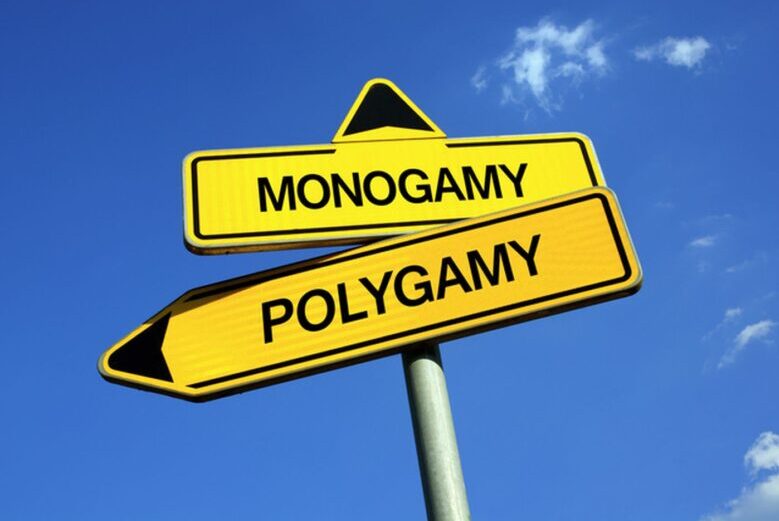 polyamorous vs monogamous relationship